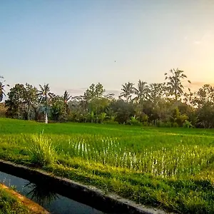 Paradise , Ubud Indonesia